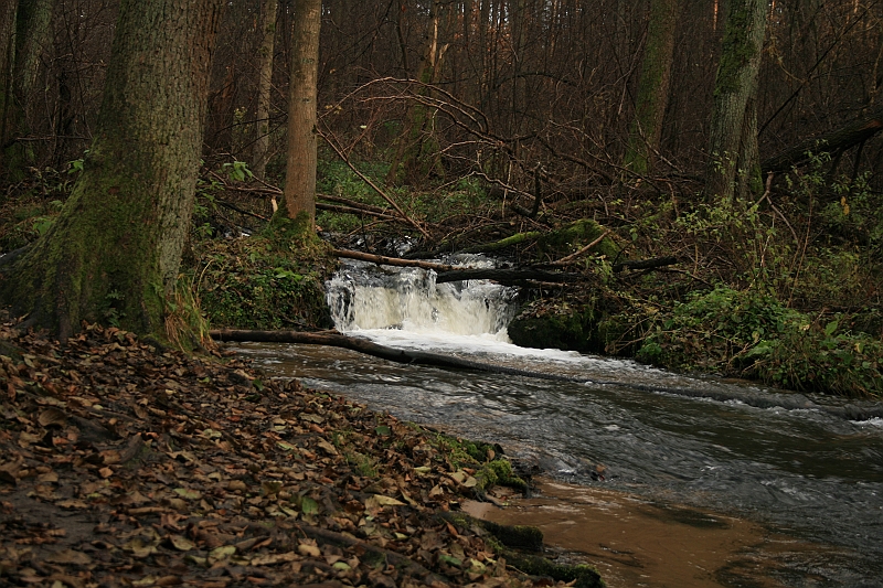 Rostoczek 11.2008 095
